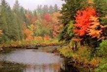 Circle Line Downtown Fall Foliage Cruise